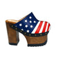 Sol Caleyo Handmade American Clogs - USA Flag Leather Platform Wooden Shoe
