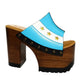 Pair of Sol Caleyo Argentina Sandals featuring a handcrafted wooden block heel and platform, a blue and white leather strap designed as the Argentine flag with three gold stars, and antique gold studs.