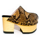 Handmade brown, beige and black snake embossed leather closed-toe platform mule clogs with round flat bronze studs and 10 cm natural lacquered wooden heel by Sol Caleyo.